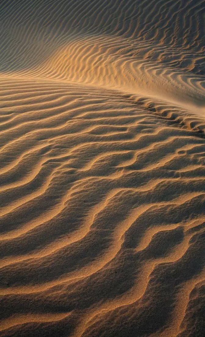 Sand Yoga